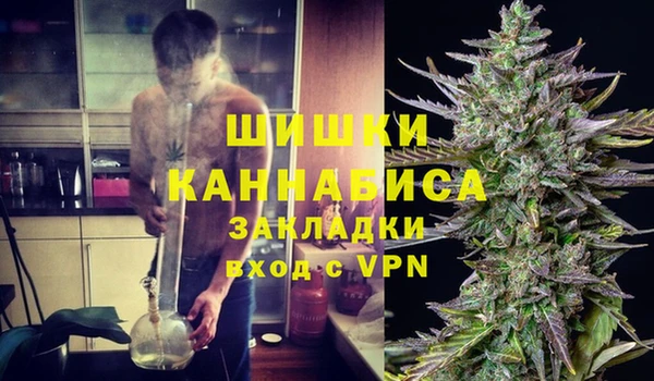 СК Бронницы
