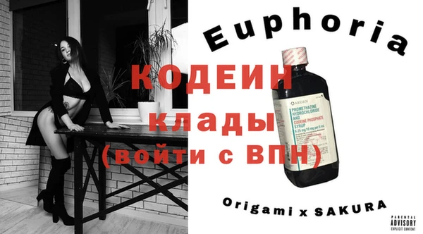 СК Бронницы