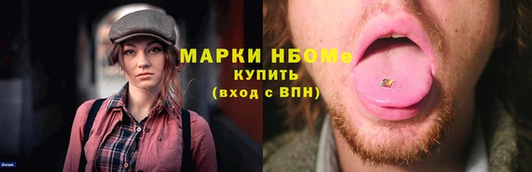 СК Бронницы