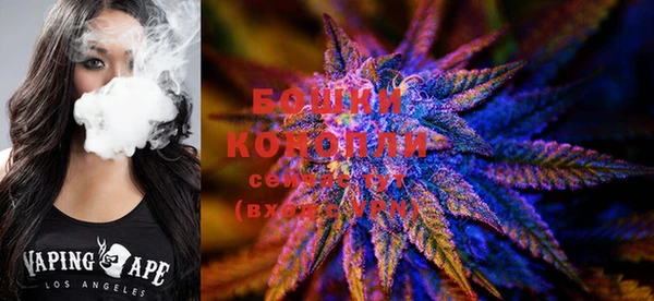 спайс Богданович