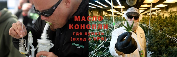 mdpv Бородино