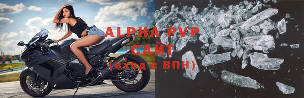 СК Бронницы