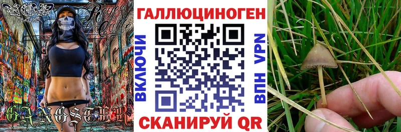 Псилоцибиновые грибы Psilocybine cubensis  что такое   Волгодонск 